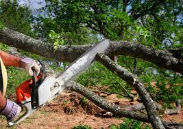 Best Pest Control for Lawns  in Huntgton, IN