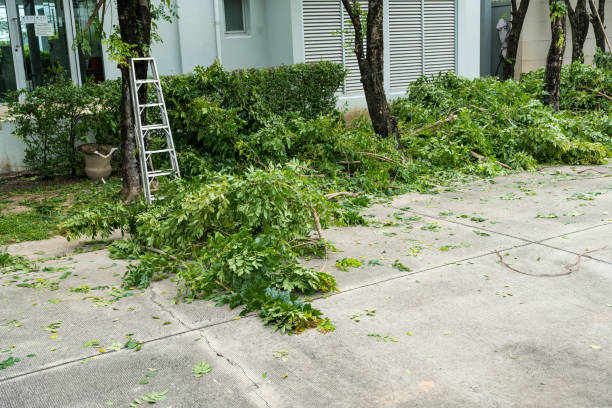 Best Tree Mulching  in Huntgton, IN